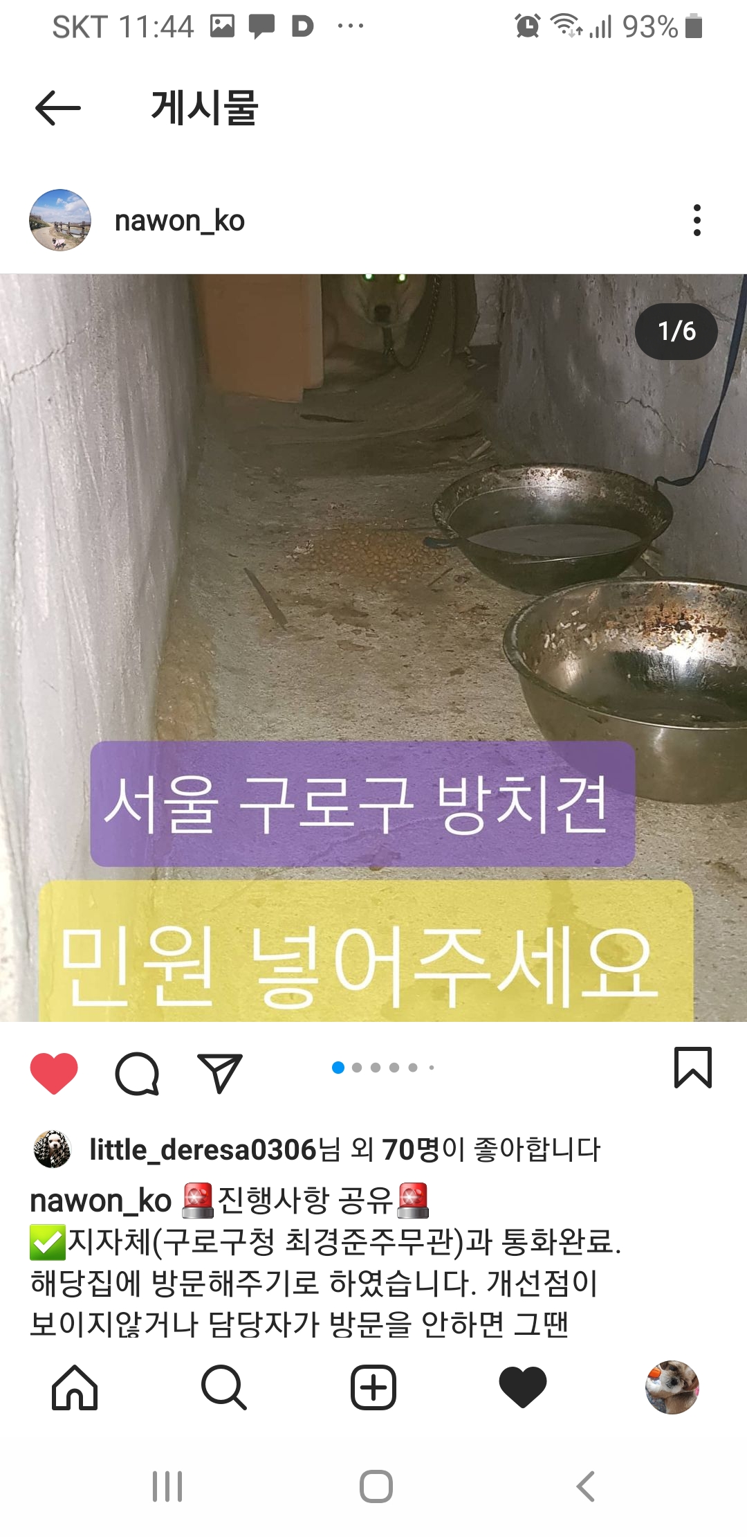 밥도 잘안준다는 방치견