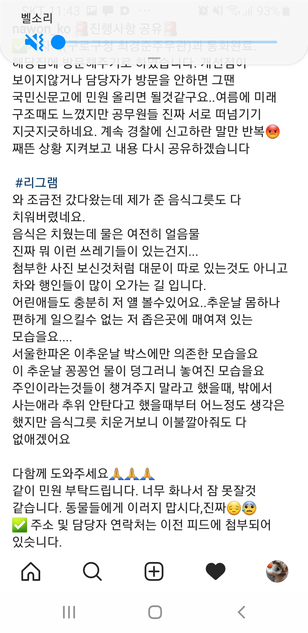 밥도 잘안준다는 방치견