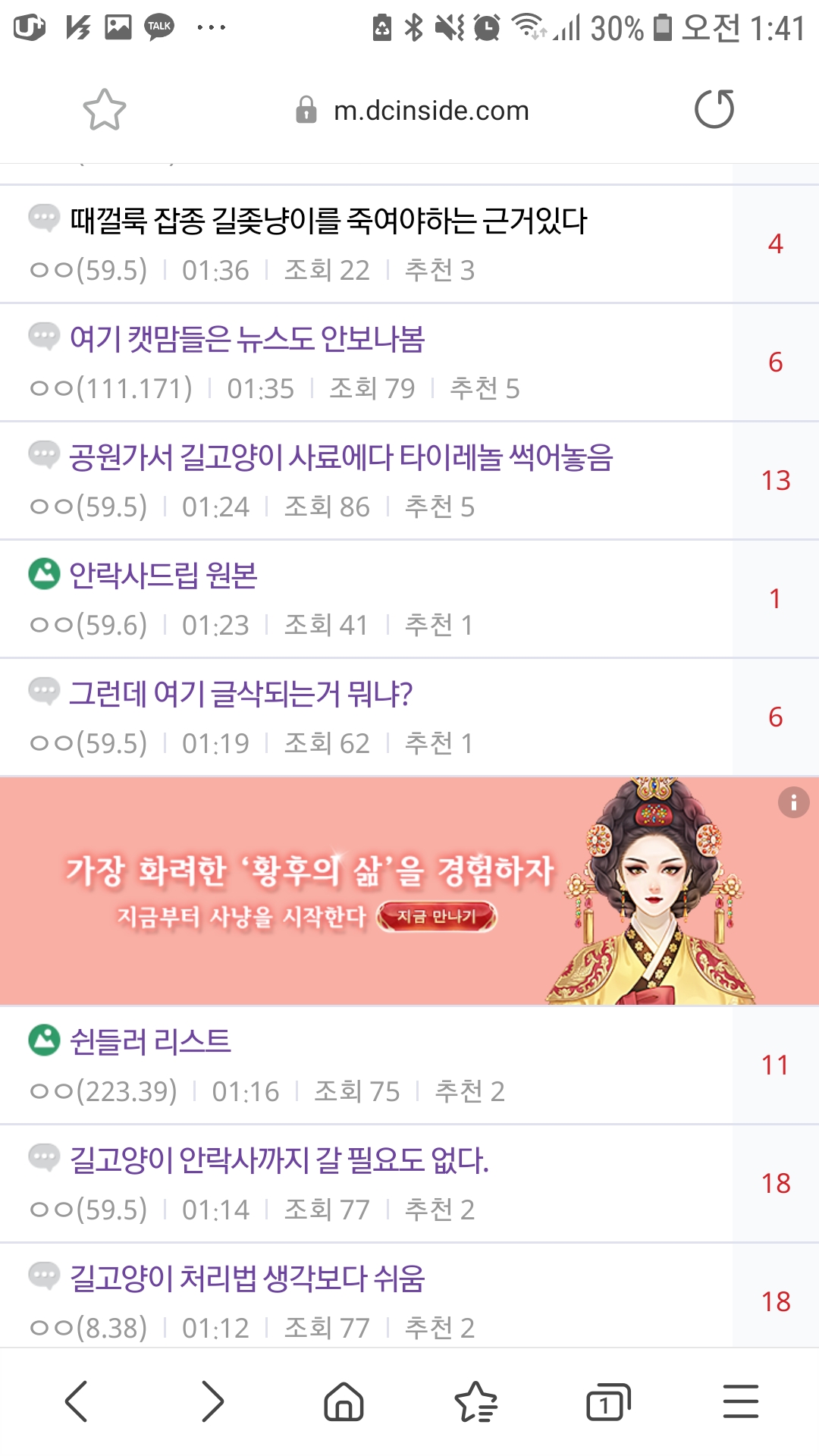 고양이 학대 혐오 사이트