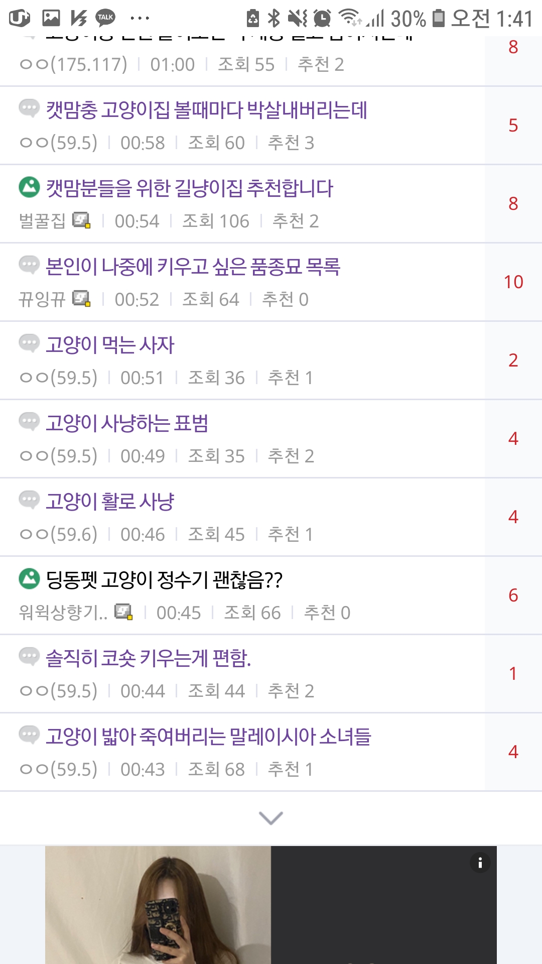 고양이 학대 혐오 사이트
