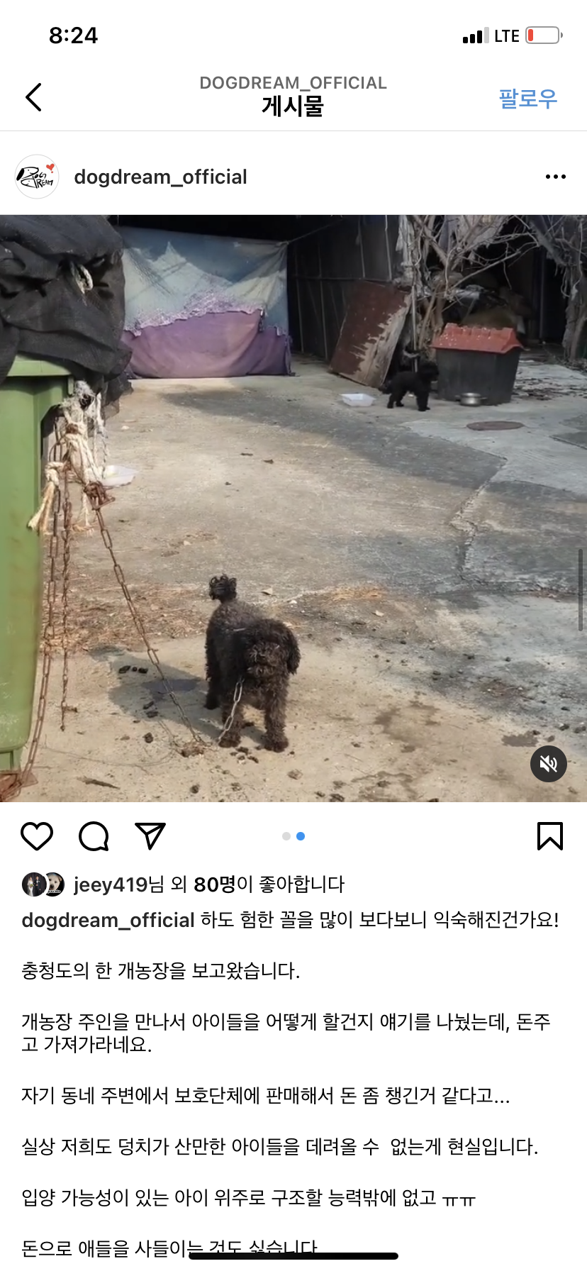 충청도의 개농장을 발견했다고합니다