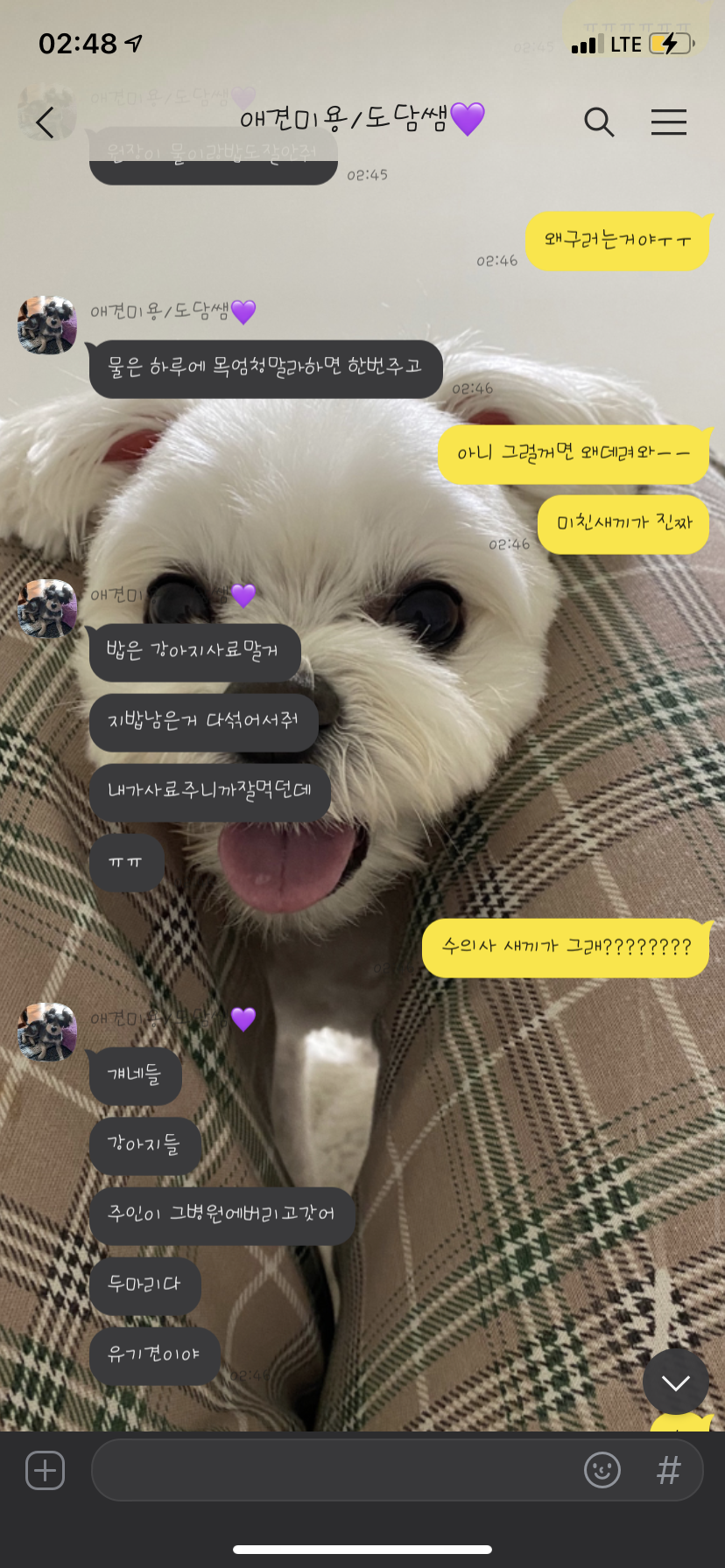 불법수혈견을 구해주세요