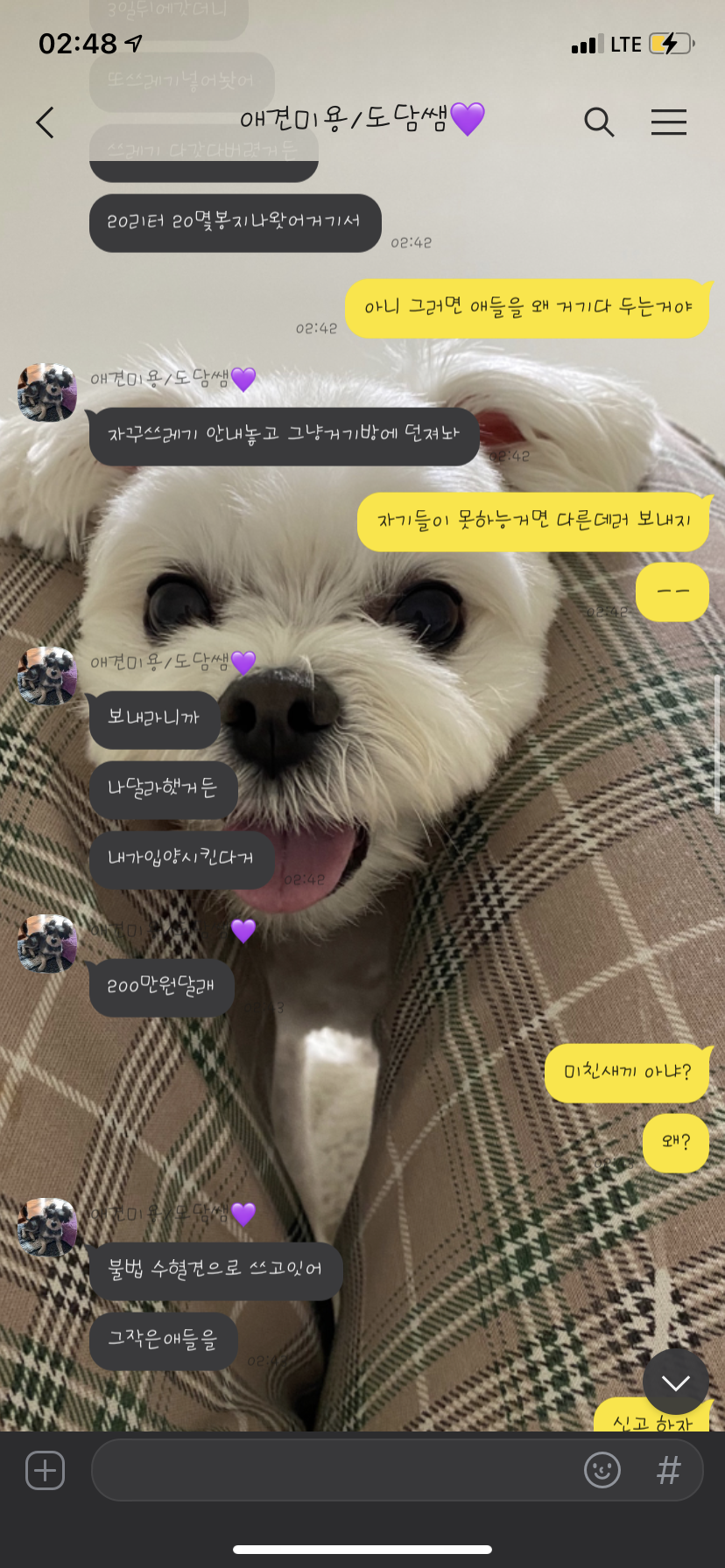 불법수혈견을 구해주세요