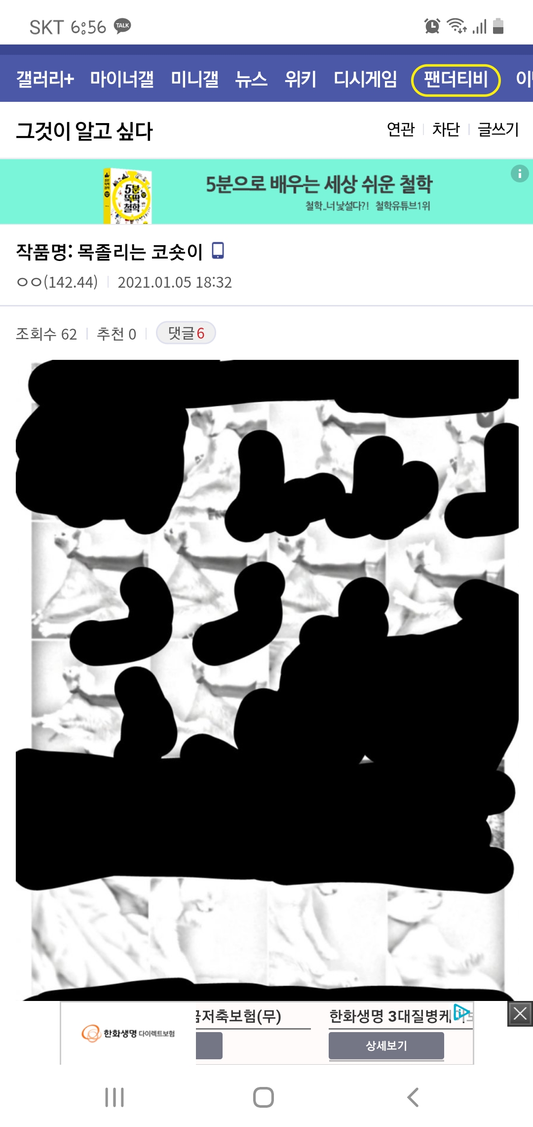 고양이 학대 콘텐츠
