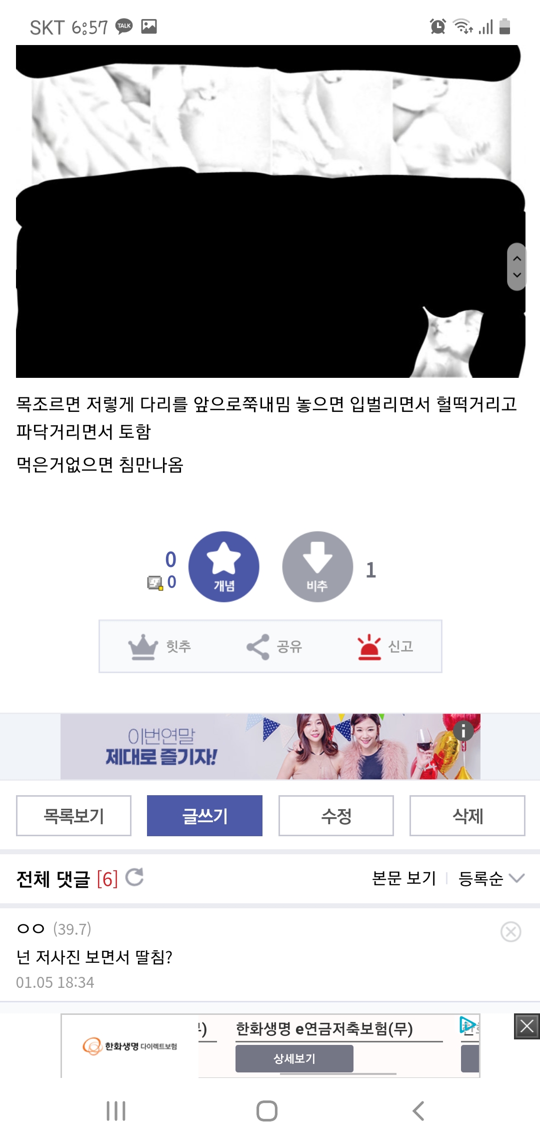 고양이 학대 콘텐츠