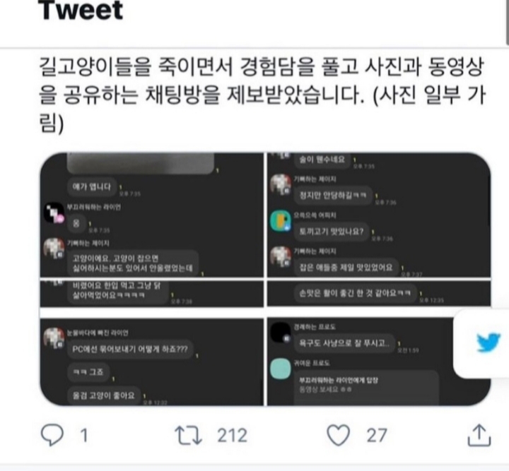 길고양이 학대살해 영상유포 채팅방 신고합니다
