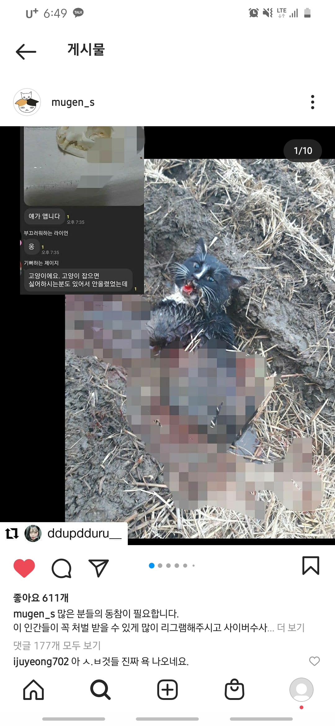 카톡 오픈채팅 고양이 학대