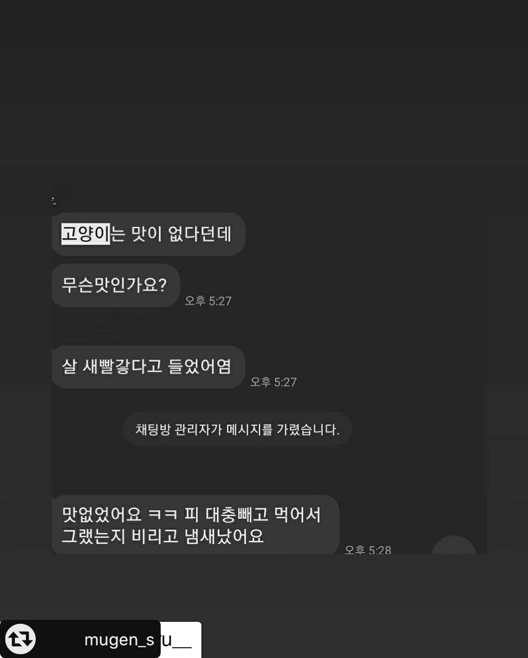 고양이 학대와 잔인하고 끔찍하게 죽이는 카톡오픈채팅방을 신고합니다