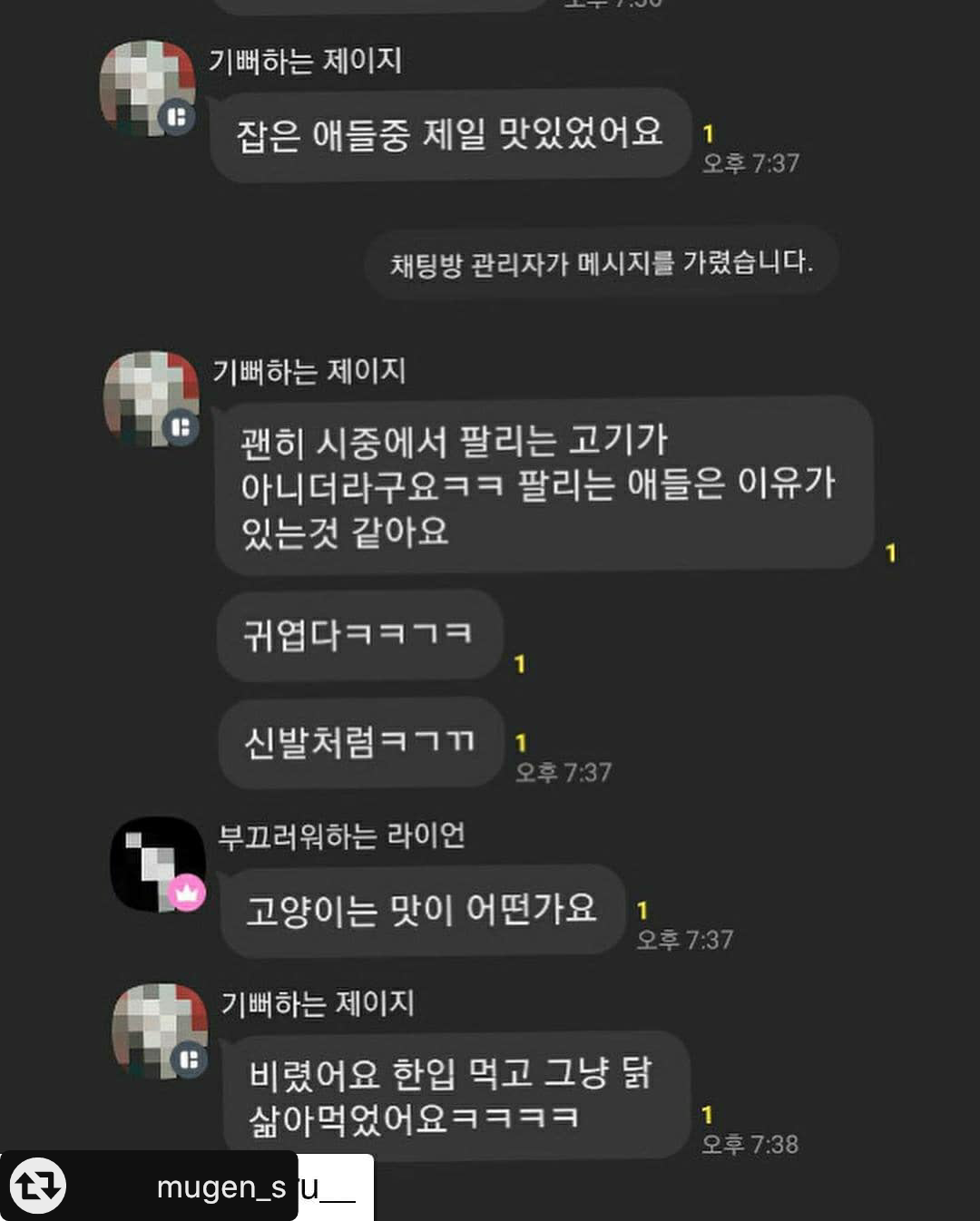 고양이 학대와 잔인하고 끔찍하게 죽이는 카톡오픈채팅방을 신고합니다