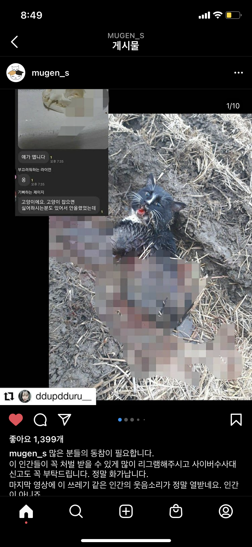 카톡 오픈채팅 고양이 학대 사건