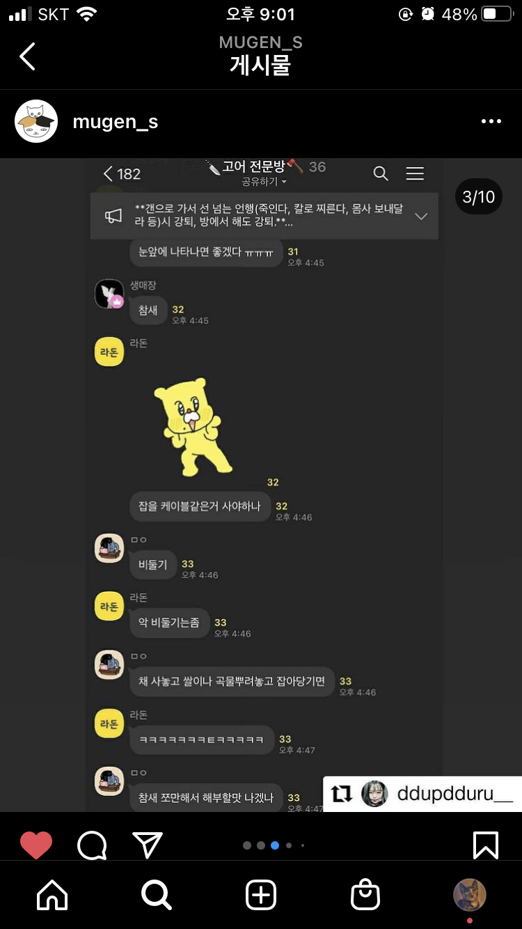오픈채팅방 고양이 학대