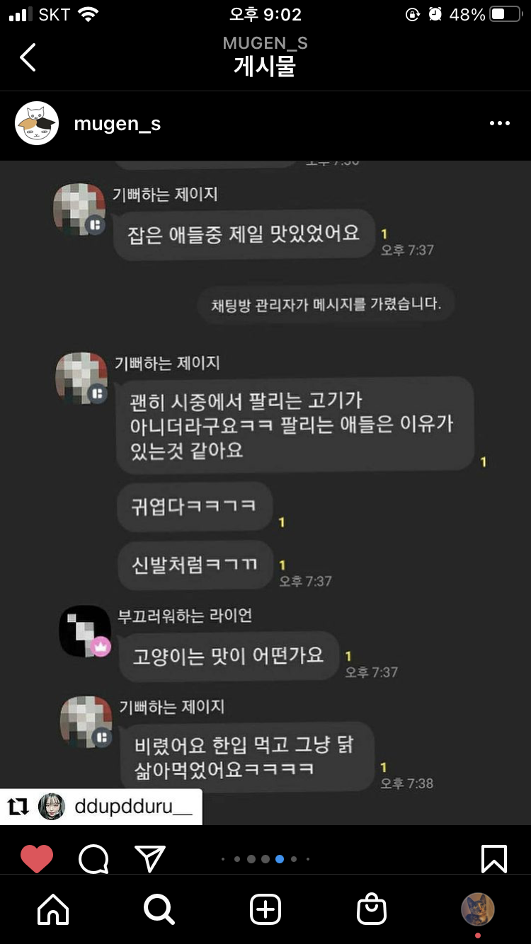 오픈채팅방 고양이 학대
