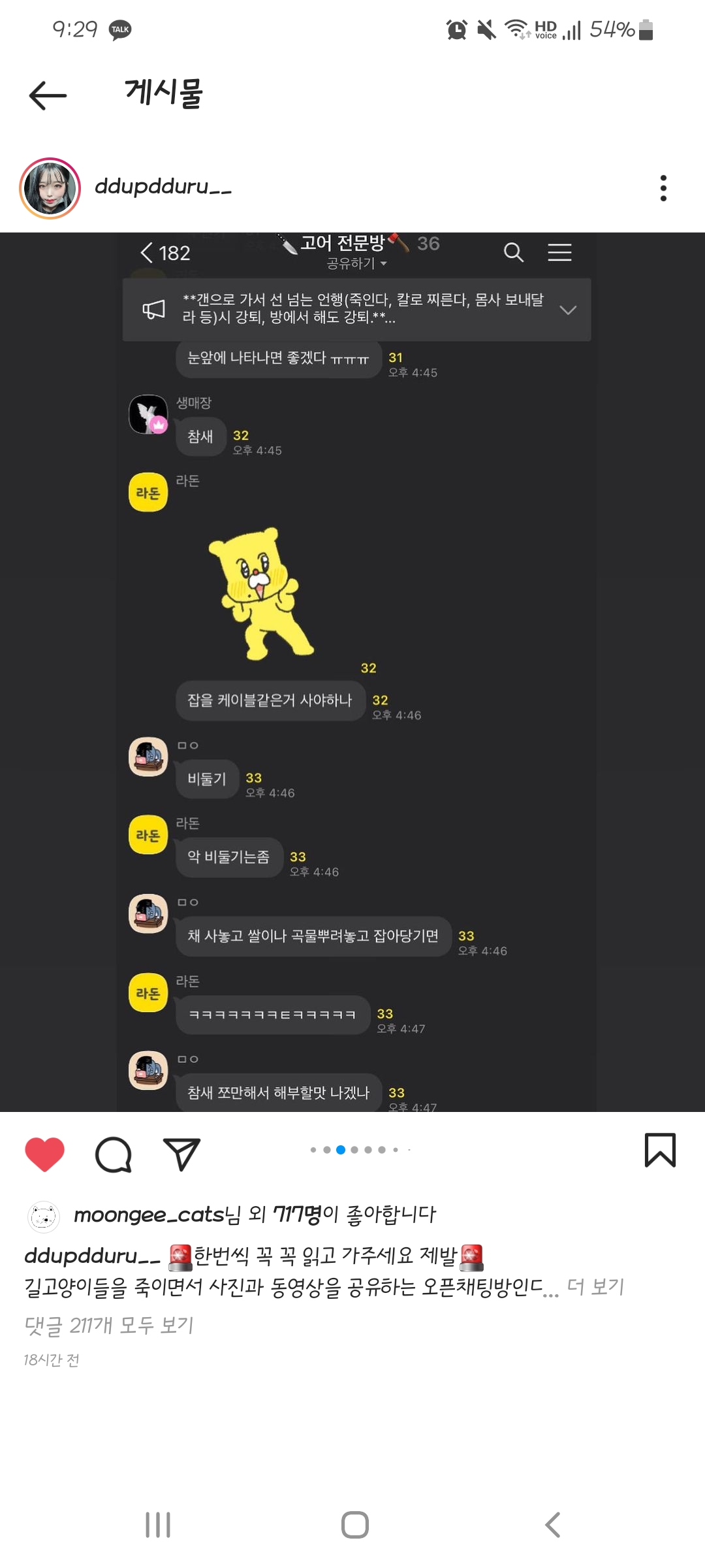 길고양이 살해 및 취식 영상 공유 카톡방