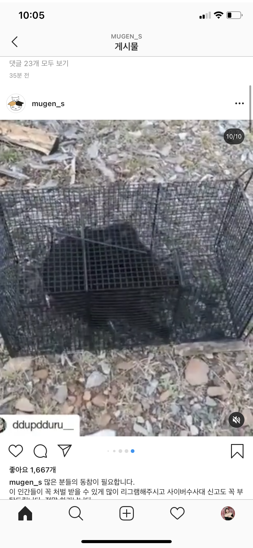 길고양이 학대 및 살해 영상 공유 오픈채팅방