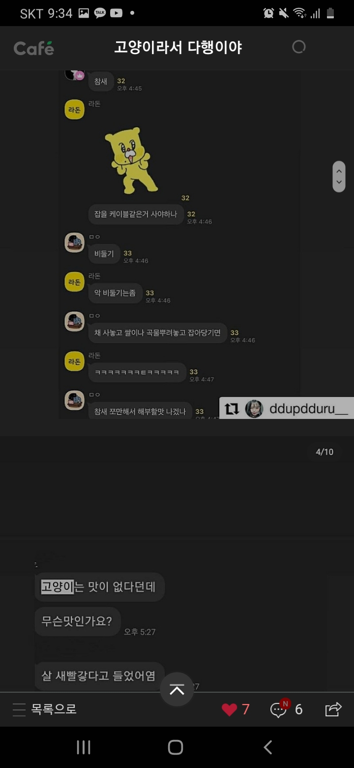 오픈채팅방에서 길냥이 잡아서 잔인하게 불태워죽입니다
