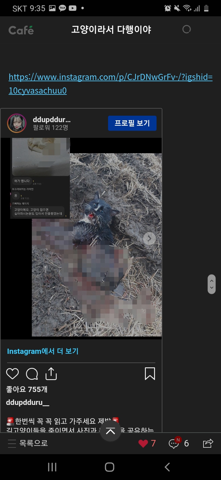 오픈채팅방에서 길냥이 잡아서 잔인하게 불태워죽입니다