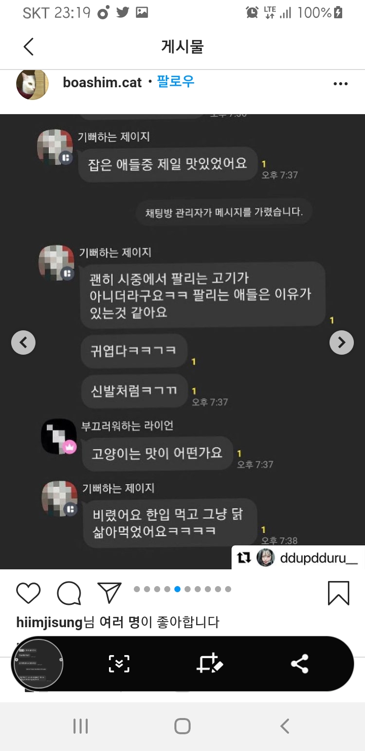 잔인하게 고양이를 학대하는 내용의 오픈채팅방을 고발합니다.