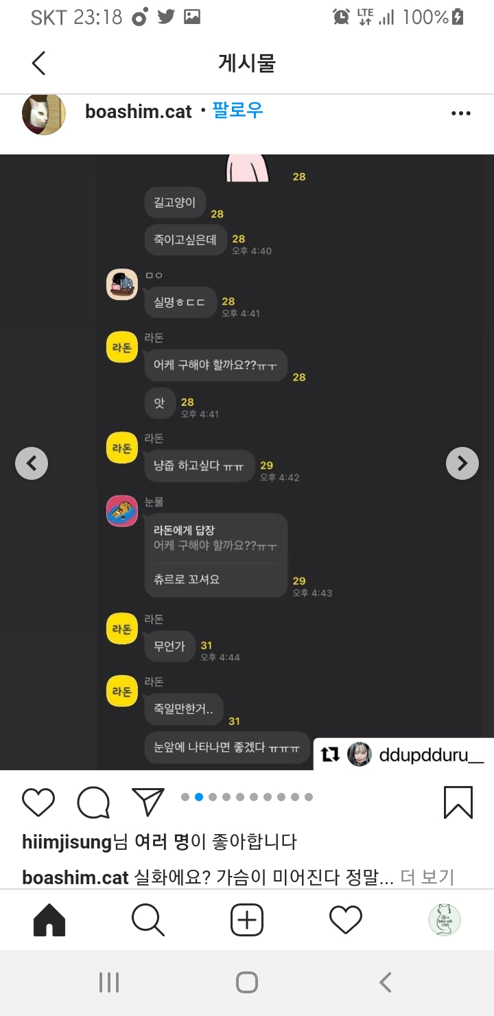 잔인하게 고양이를 학대하는 내용의 오픈채팅방을 고발합니다.