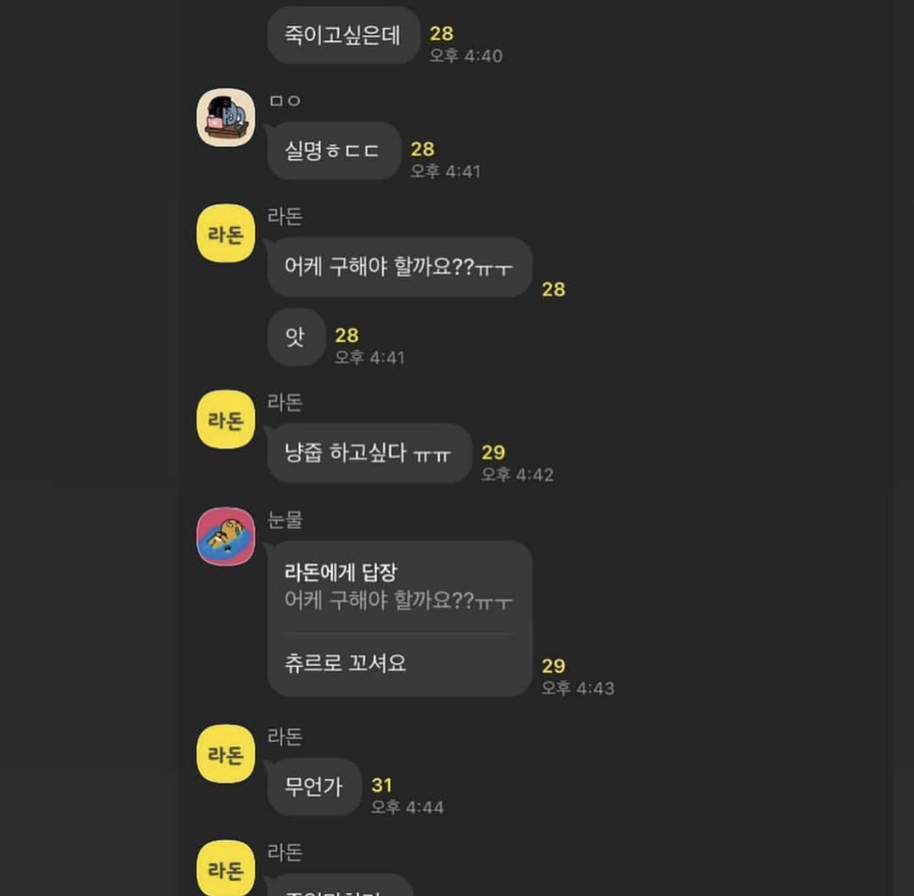 길고양이 살해와 섭취 정보를 공유하는 오픈채팅방이 있습니다