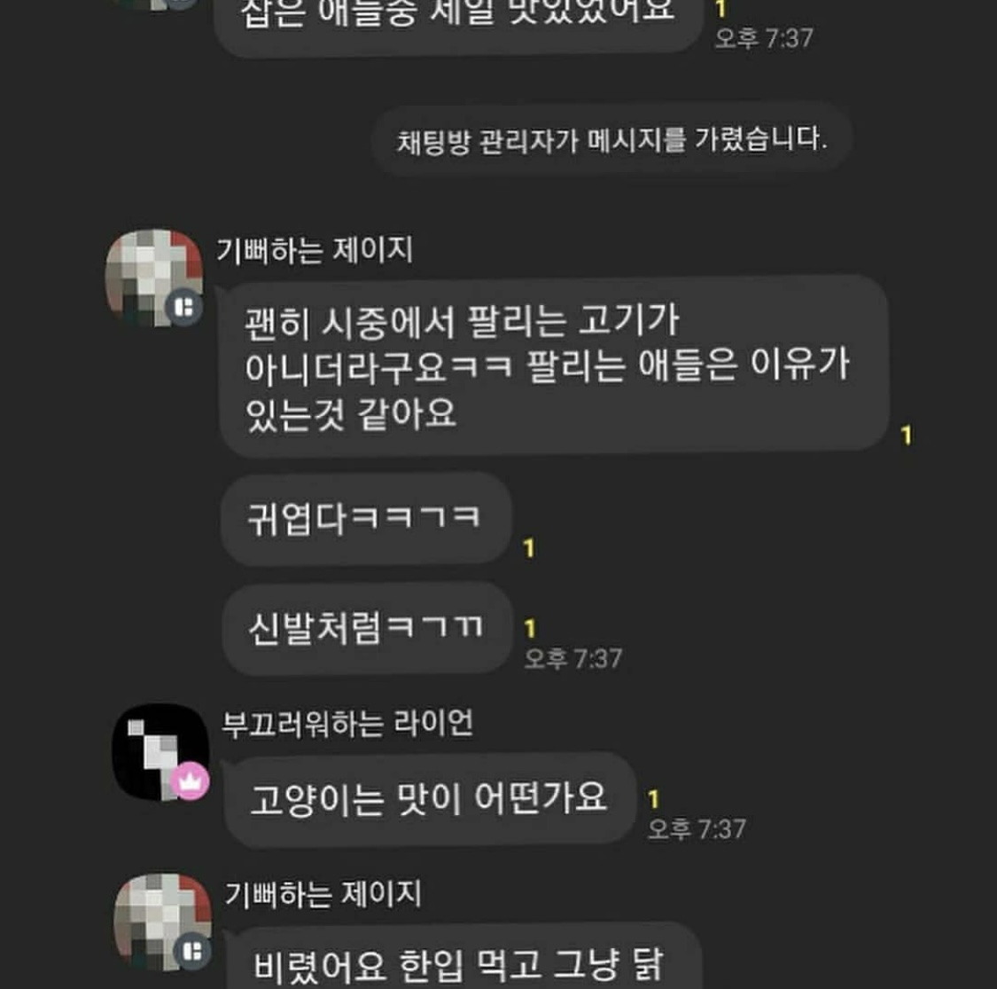 오픈채팅 길고양이 학대 