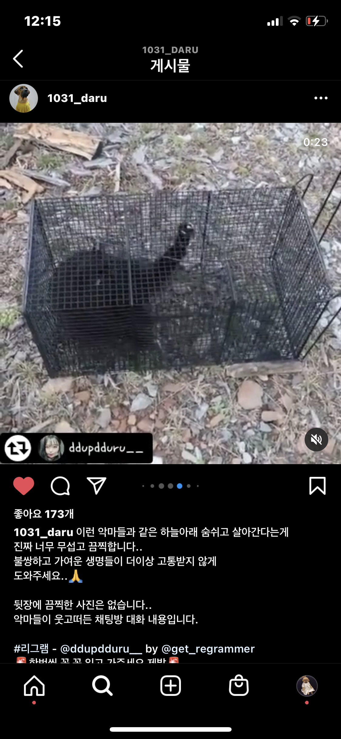 길고양이 학대 오픈채팅방 