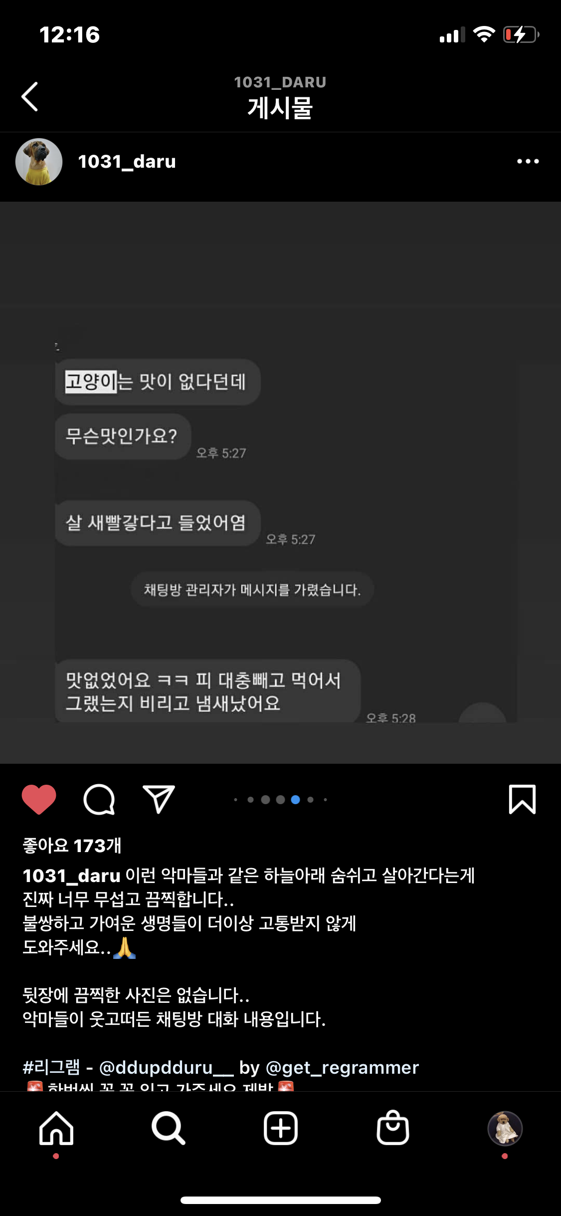 길고양이 학대 오픈채팅방 