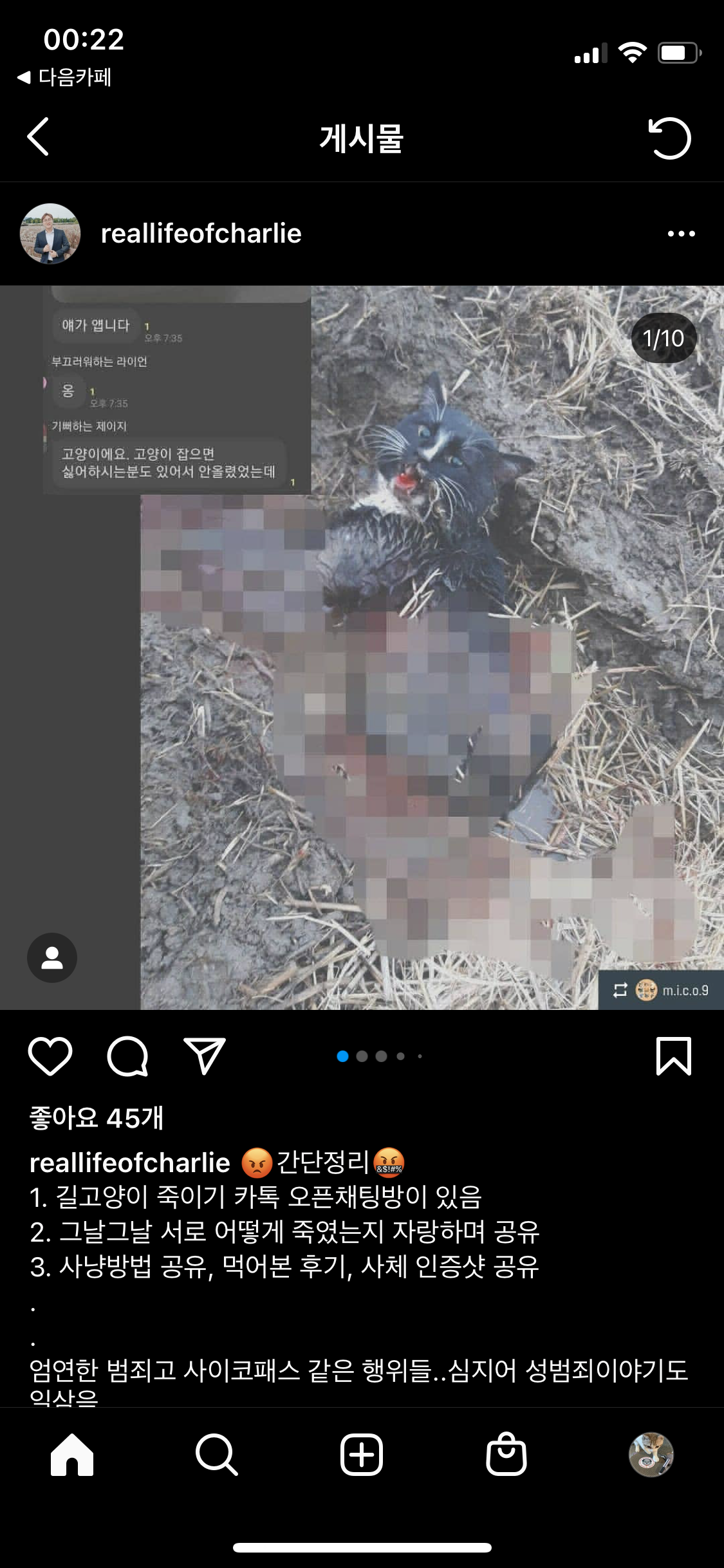 길고양이 살해 단톡방 처벌