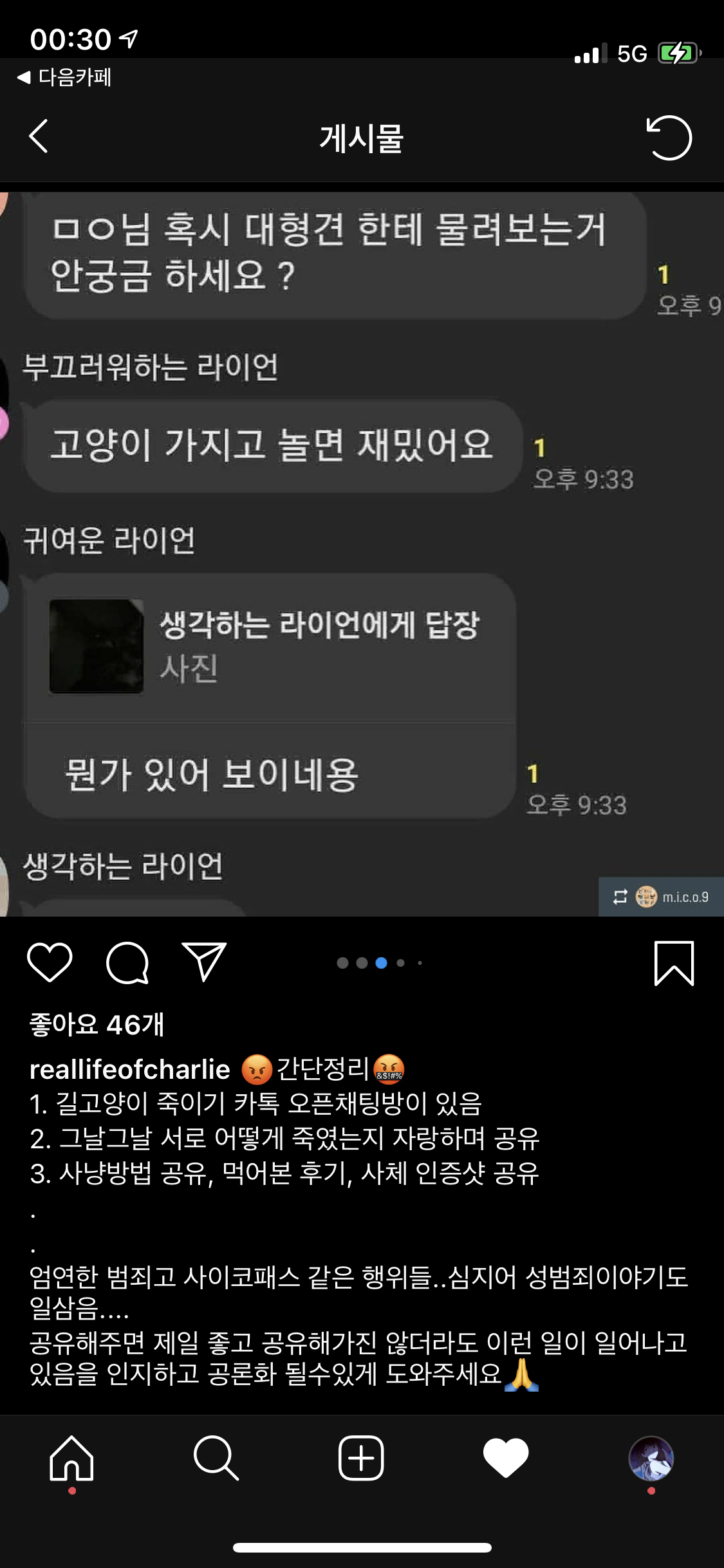 길고양이 학대 단톡방이 있습니다