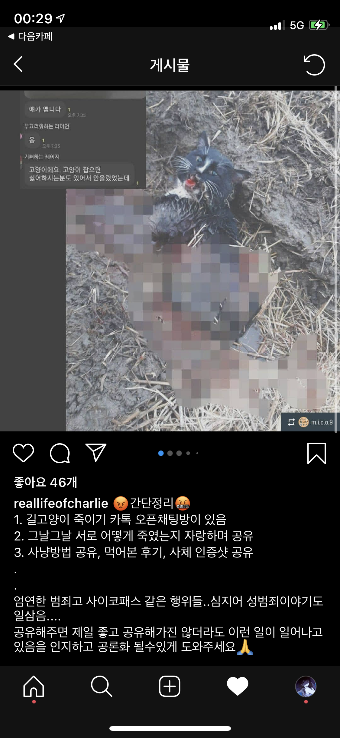길고양이 학대 단톡방이 있습니다