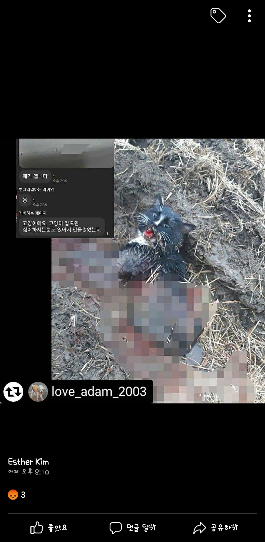 길냥이 학대 후 살해 단체톡방이 운영중입니다