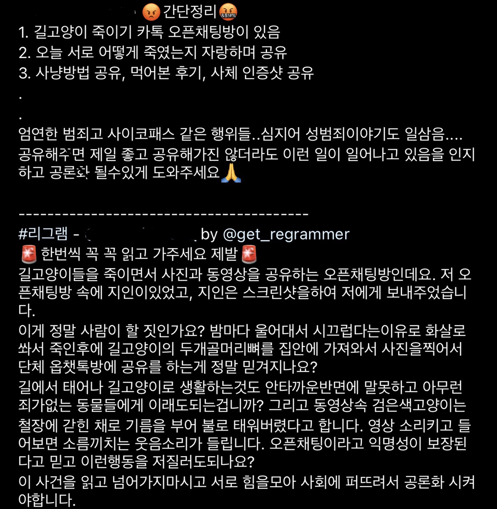 길고양이 학대 오픈채팅