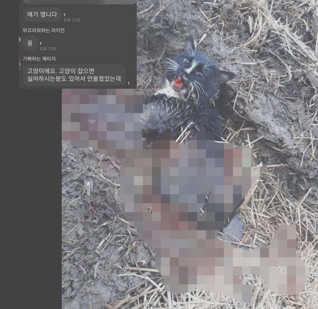 길고양이 학대 오픈채팅