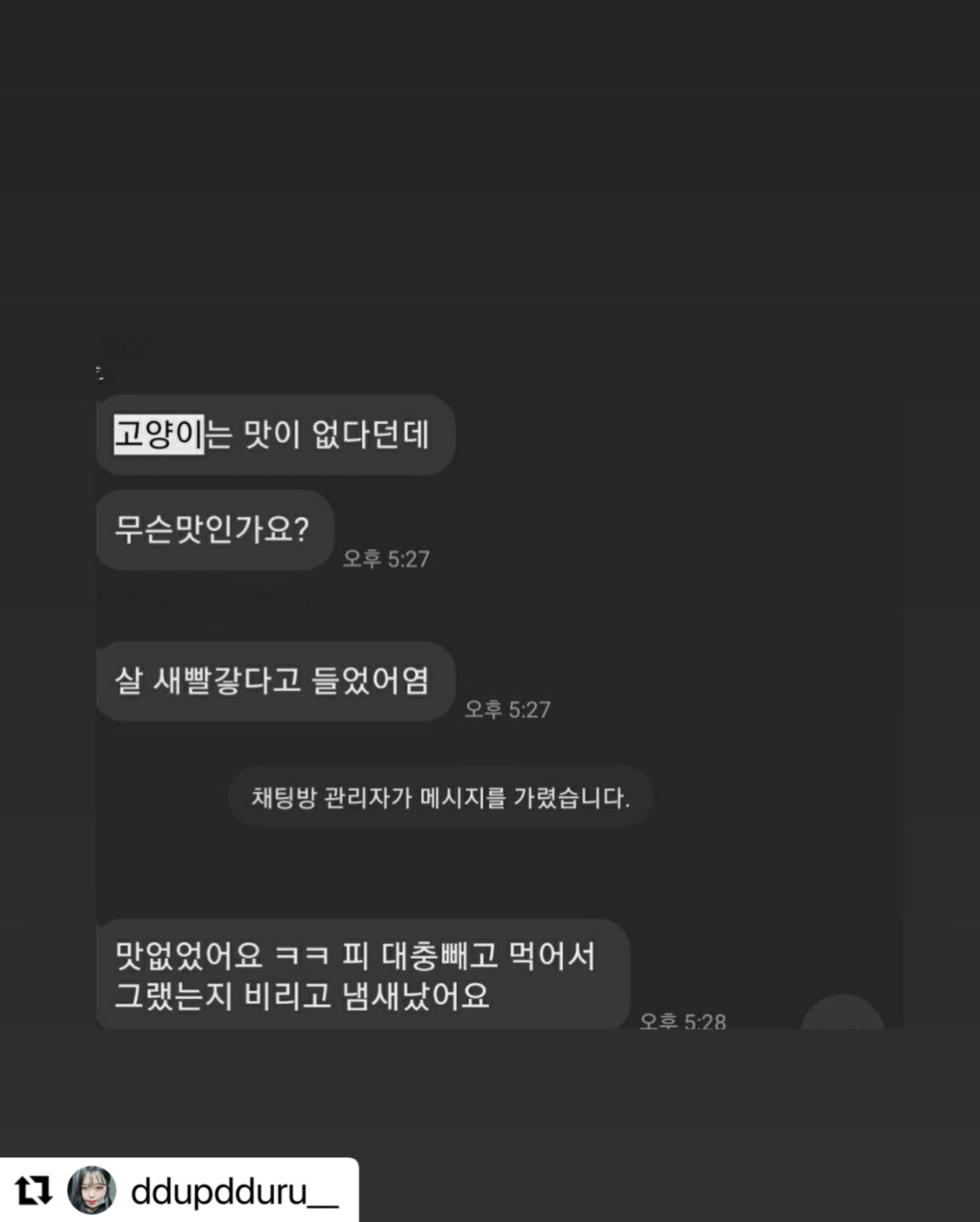 카카오톡 오픈 채팅방 길고양이 살인 도모 신고 합니다.