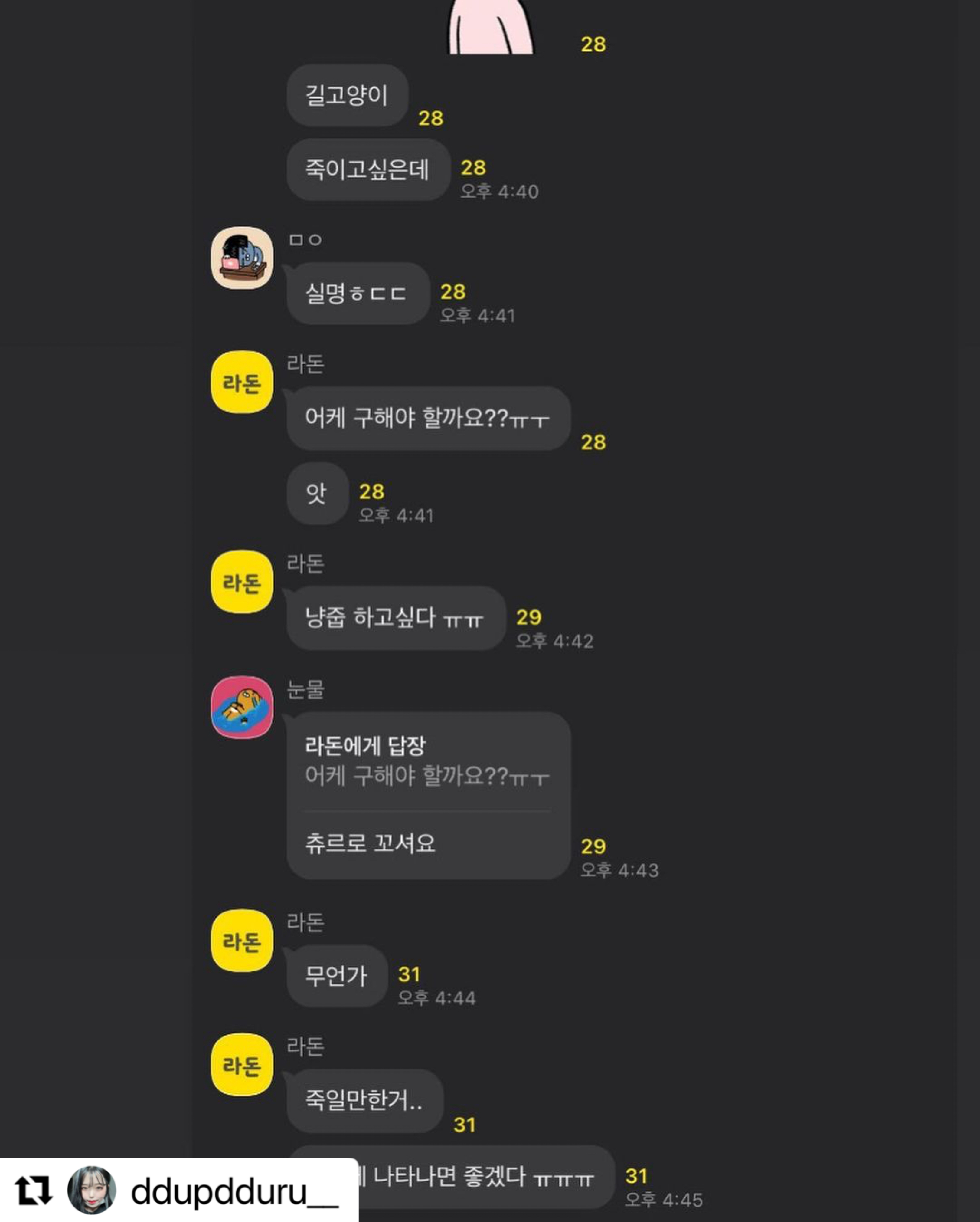 카카오톡 오픈 채팅방 길고양이 살인 도모 신고 합니다.