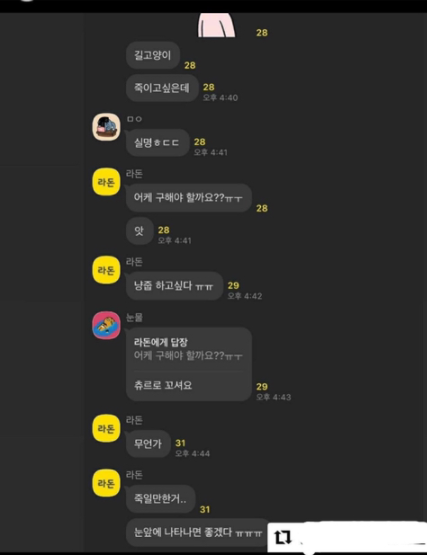 길고양이 학대 및 잔인하게 죽이는 방법을 공유한 오픈 카톡방이 있습니다.