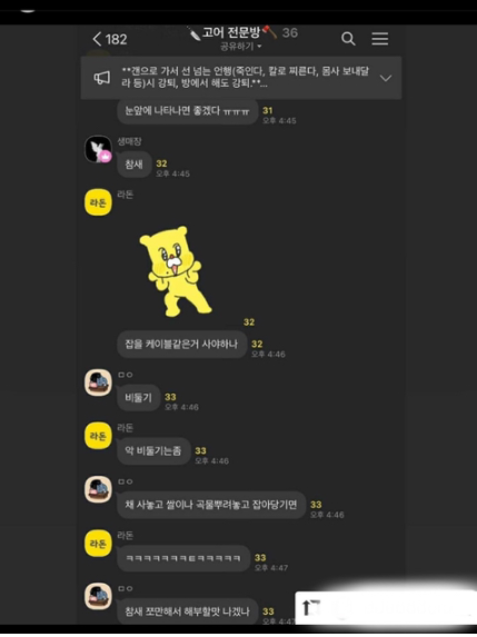 길고양이 학대 및 잔인하게 죽이는 방법을 공유한 오픈 카톡방이 있습니다.