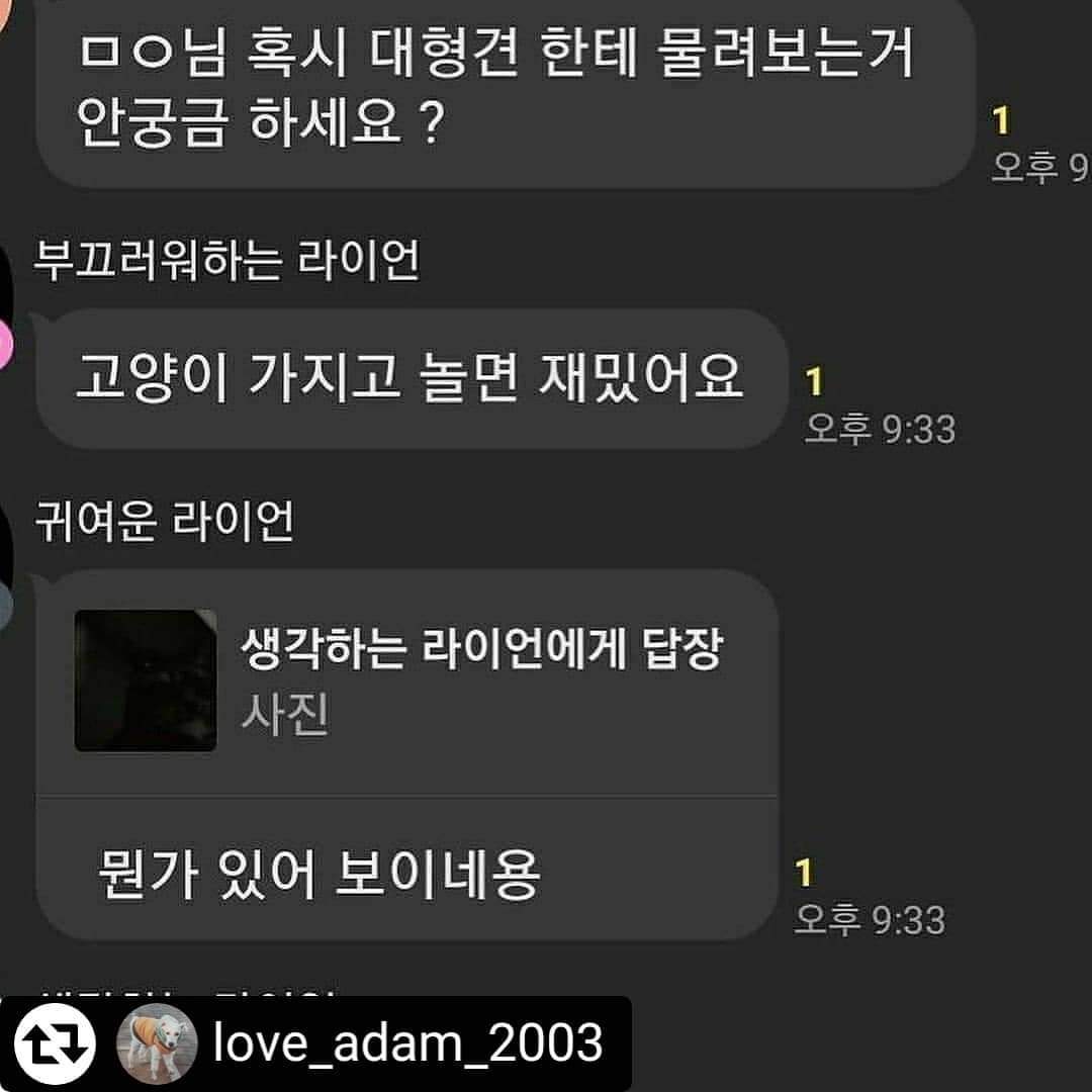 오픈채팅방에 길고양이 학대하고 사진올린다고 합니다
