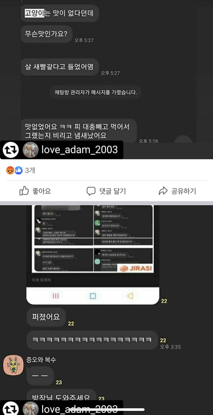 본인들의 재미로 길고양이를 살해합니다..