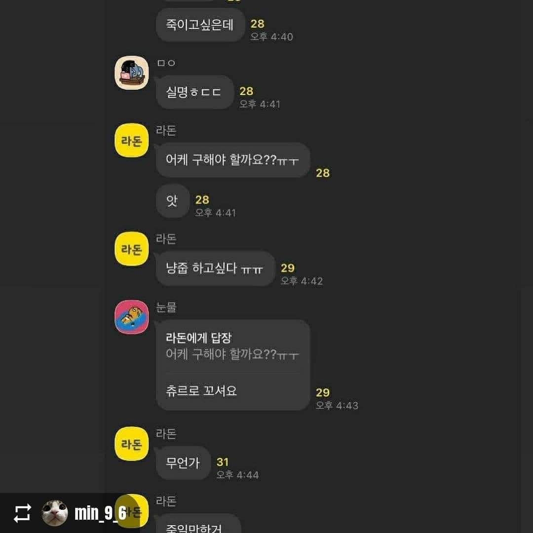 카카오톡 오픈채팅방 속 고양이 학대 고발합니다