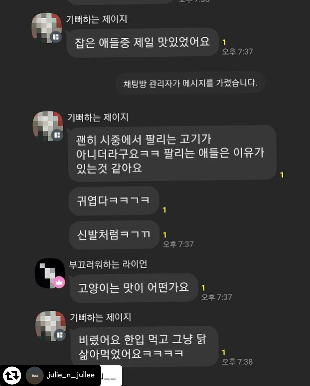 오픈채팅방 길고양이 학대 고발합니다