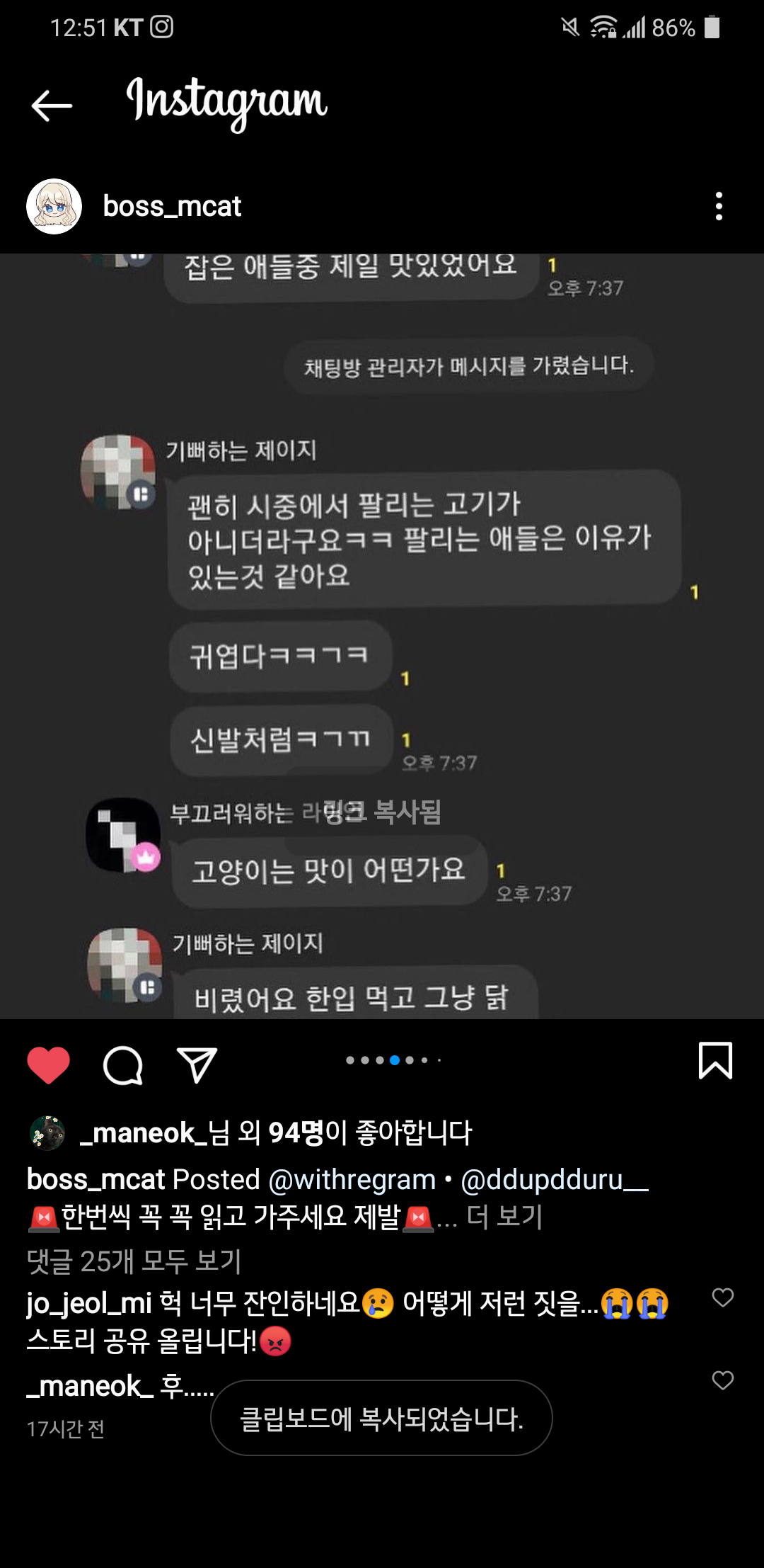 오픈 채팅방 고양이 학대범들을 고발합니다.