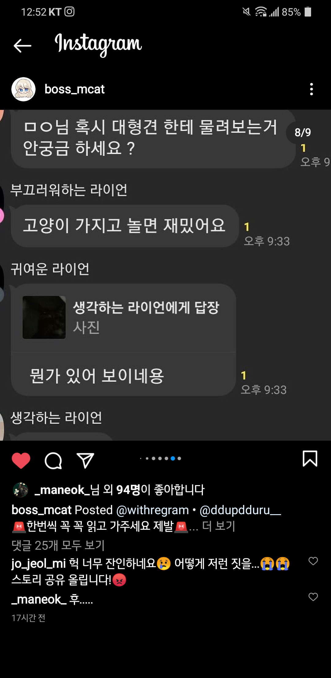 오픈 채팅방 고양이 학대범들을 고발합니다.