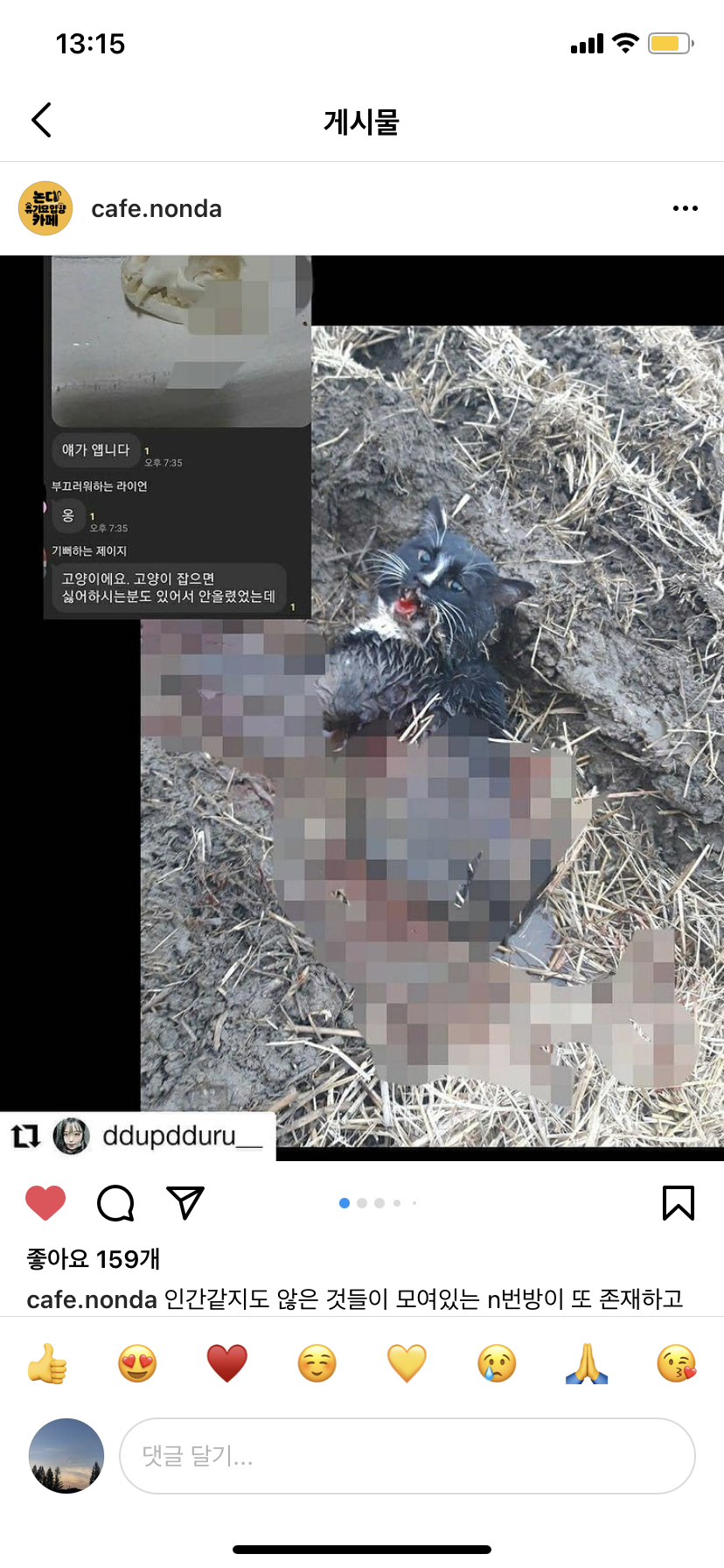 N번방 범죄자들과 다를게 뭡니까 