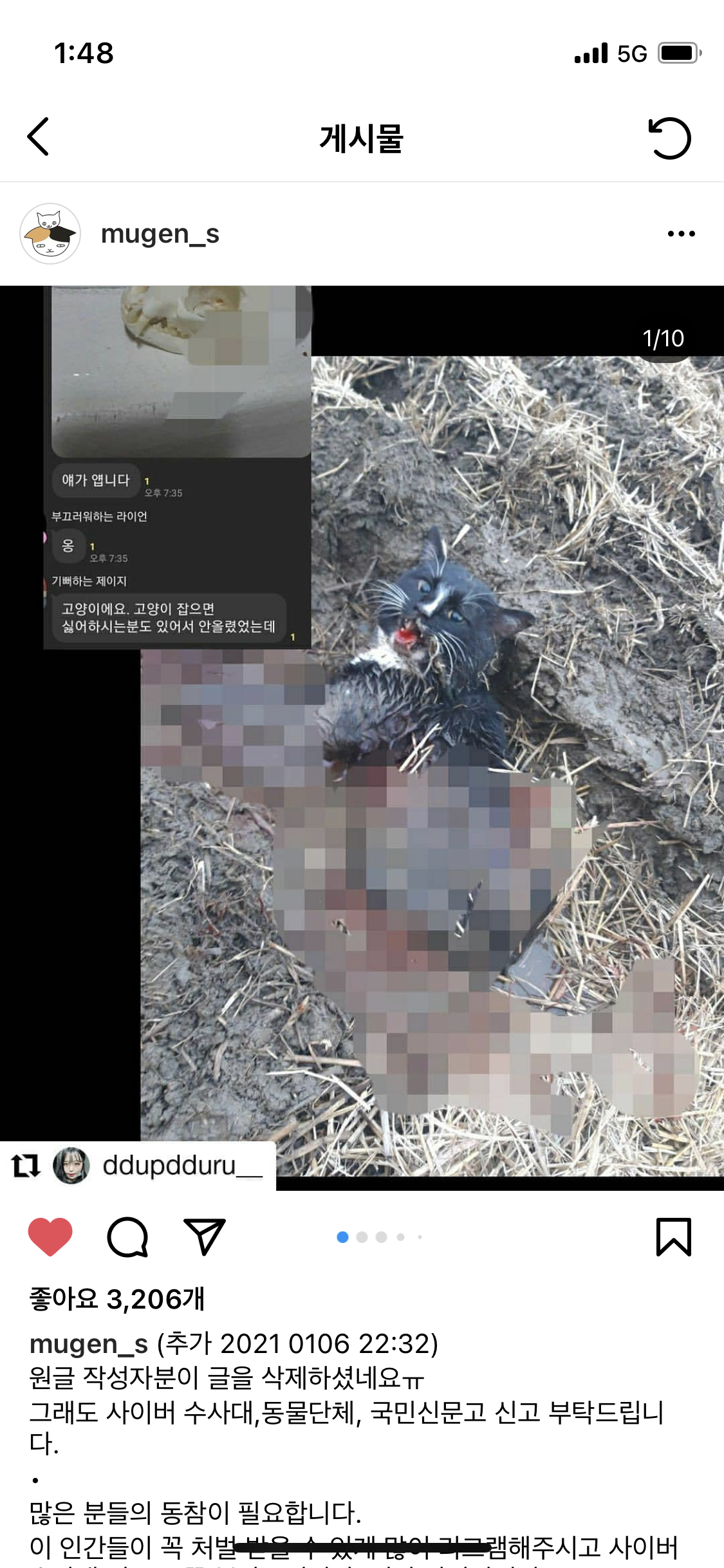 카톡안에서 발생하는 길고양이 학대