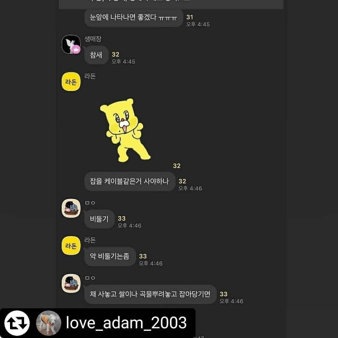 카카오톡 오픈채팅방 길고양이 학대범들