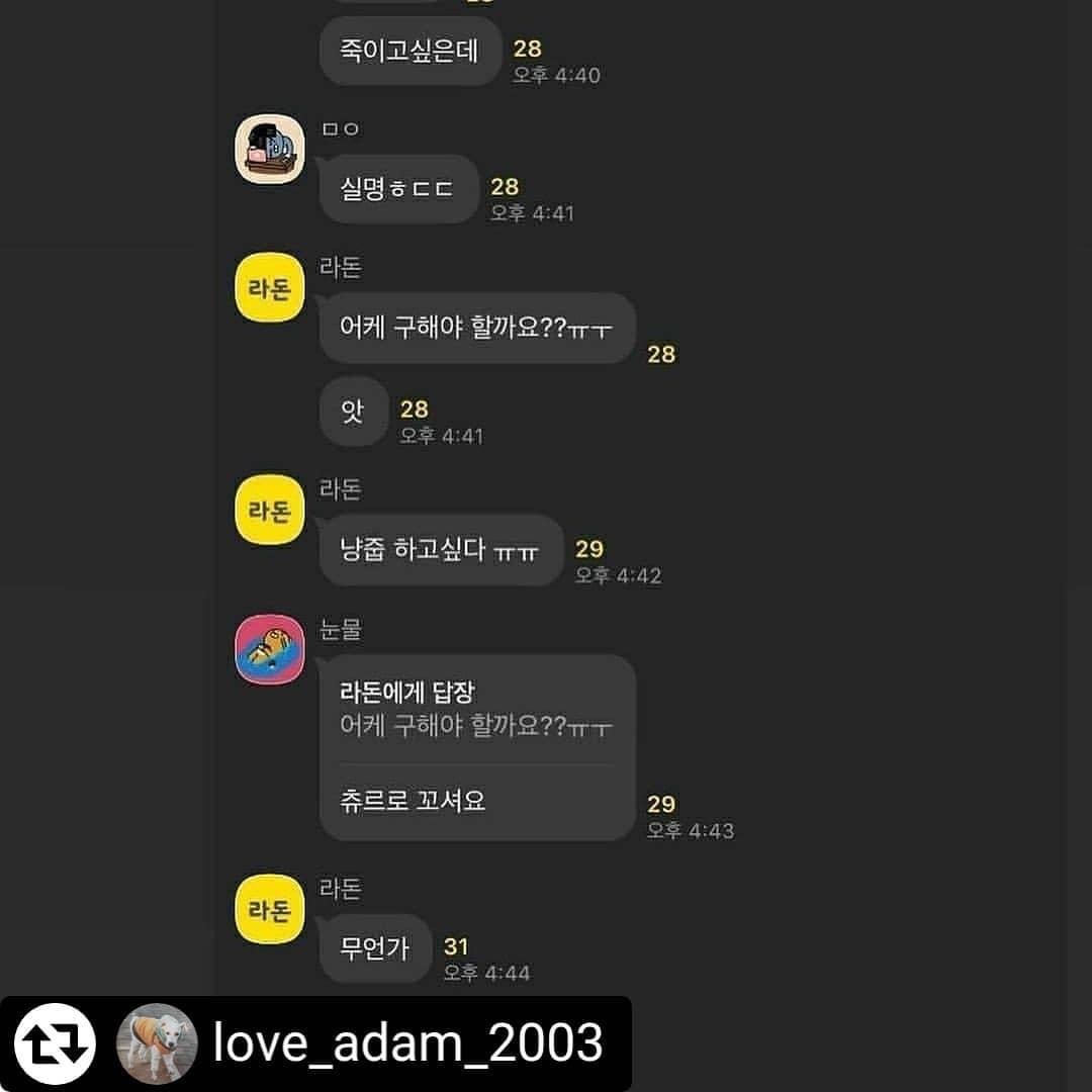 카카오톡 오픈채팅방 길고양이 학대범들