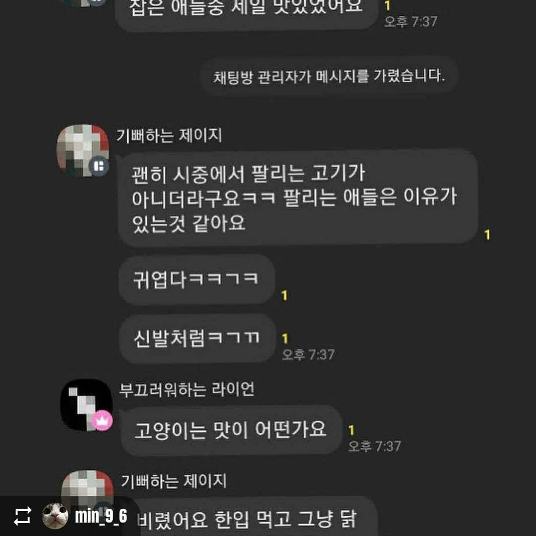 오픈채팅방 고양이 학대 사건