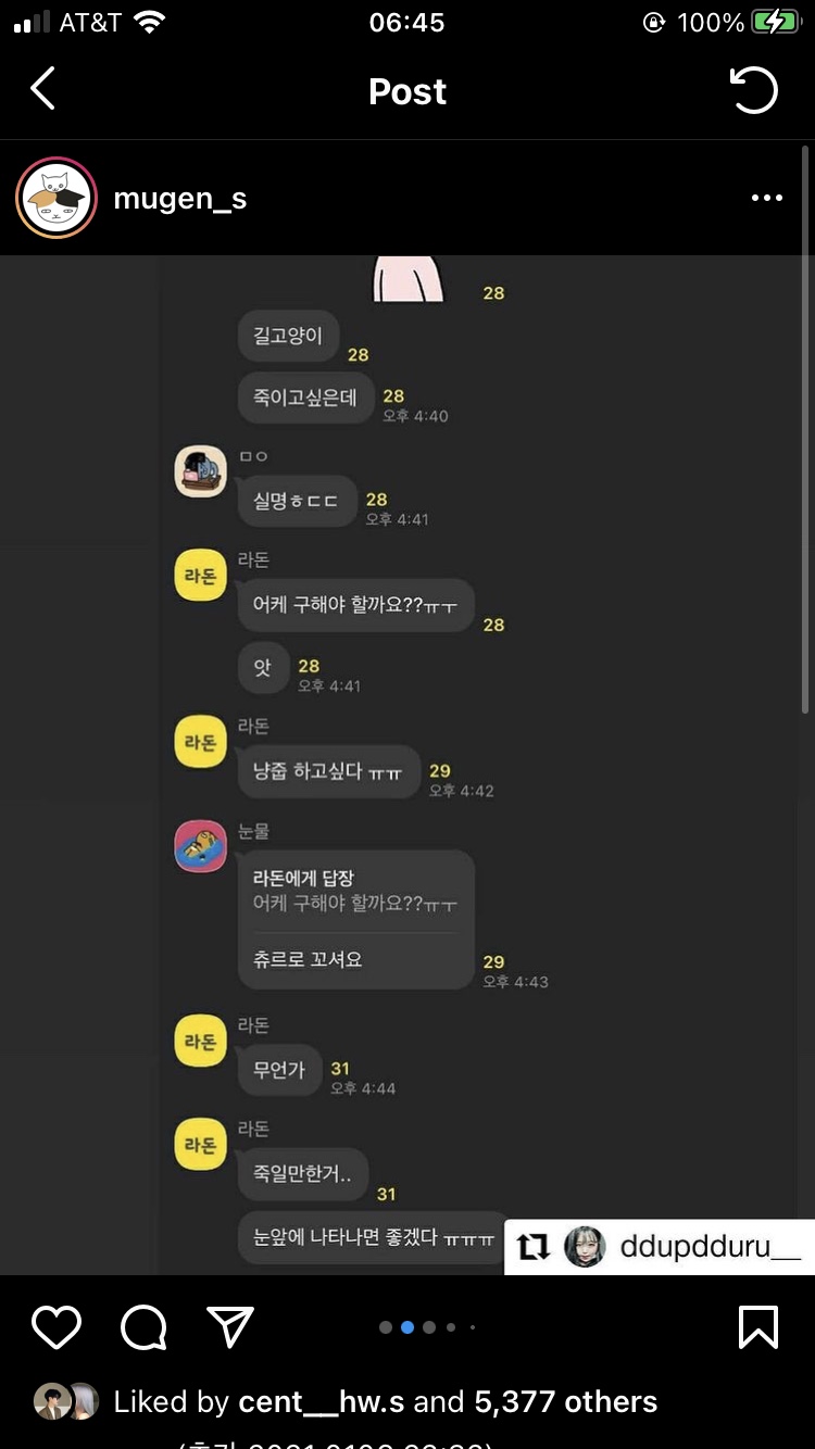길고양이를 살해하는 사람 신고합니다