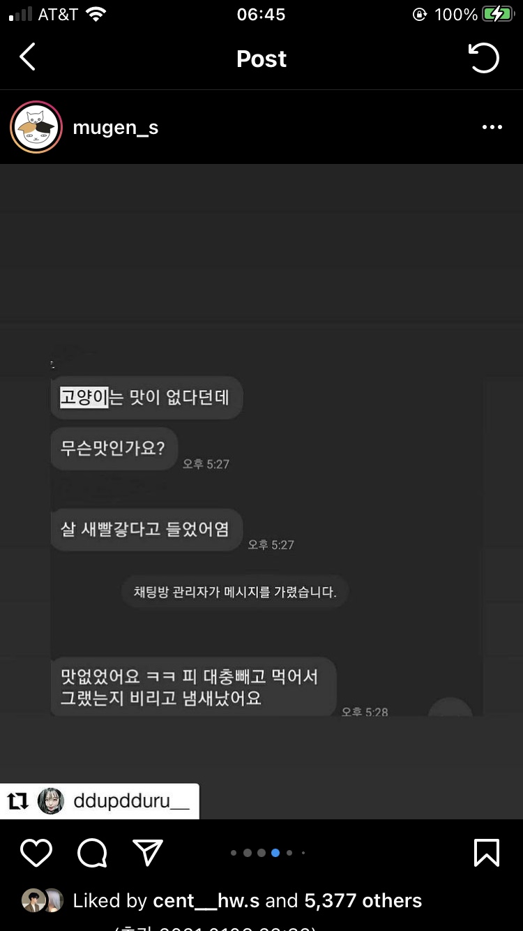 길고양이를 살해하는 사람 신고합니다