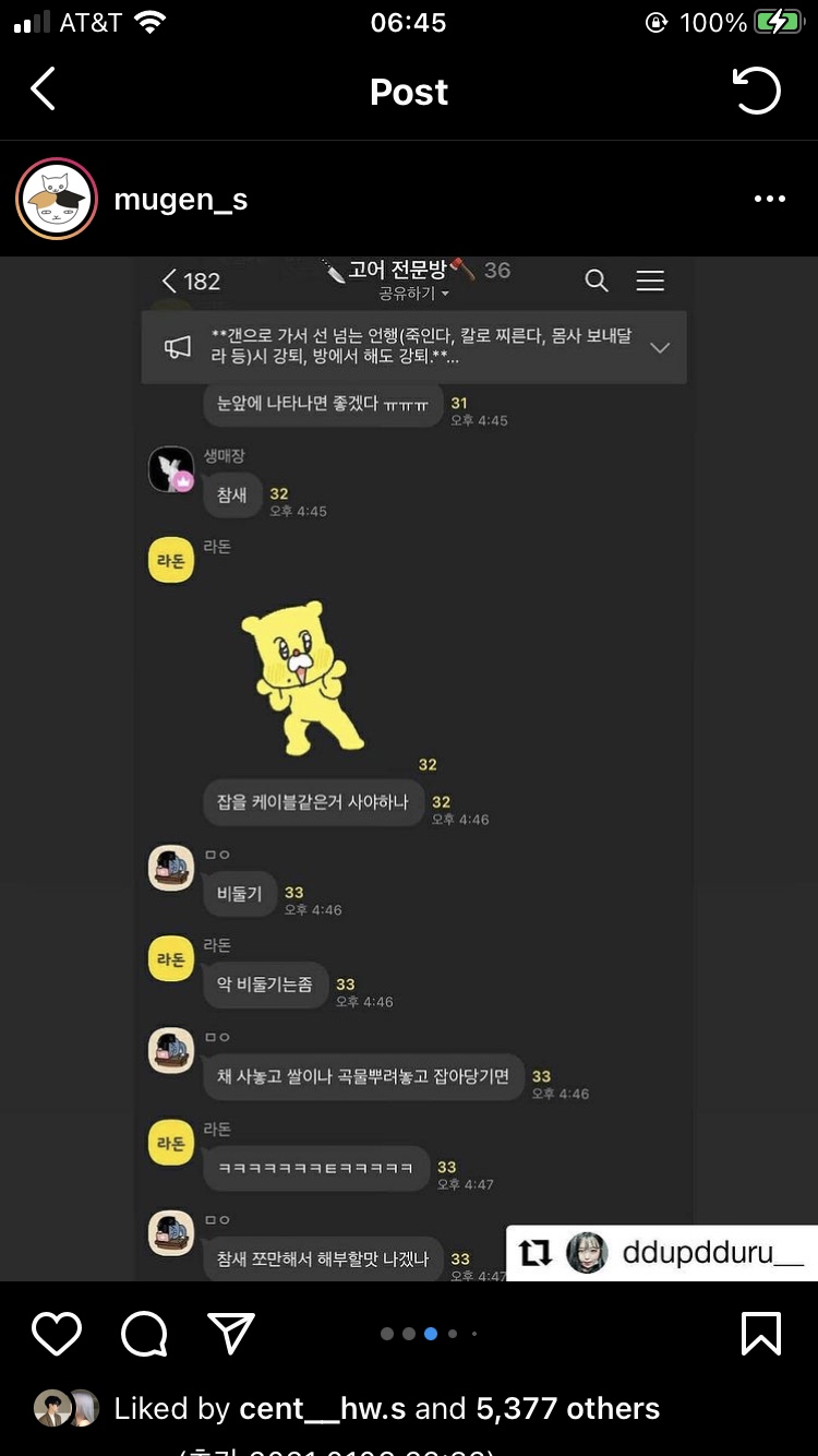 길고양이를 살해하는 사람 신고합니다